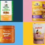 the best natural dog treats for 2023