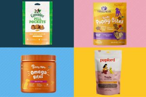 the best natural dog treats for 2023