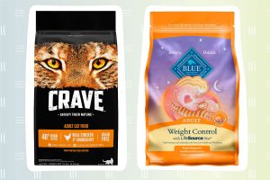 the best natural dry cat food for 2023