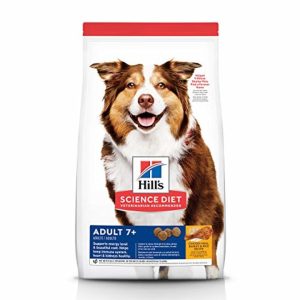 what is the best natural senior dog food