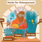 best natural osteoporosis treatment in 2023