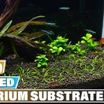 the best natural aquarium substrate for 2023