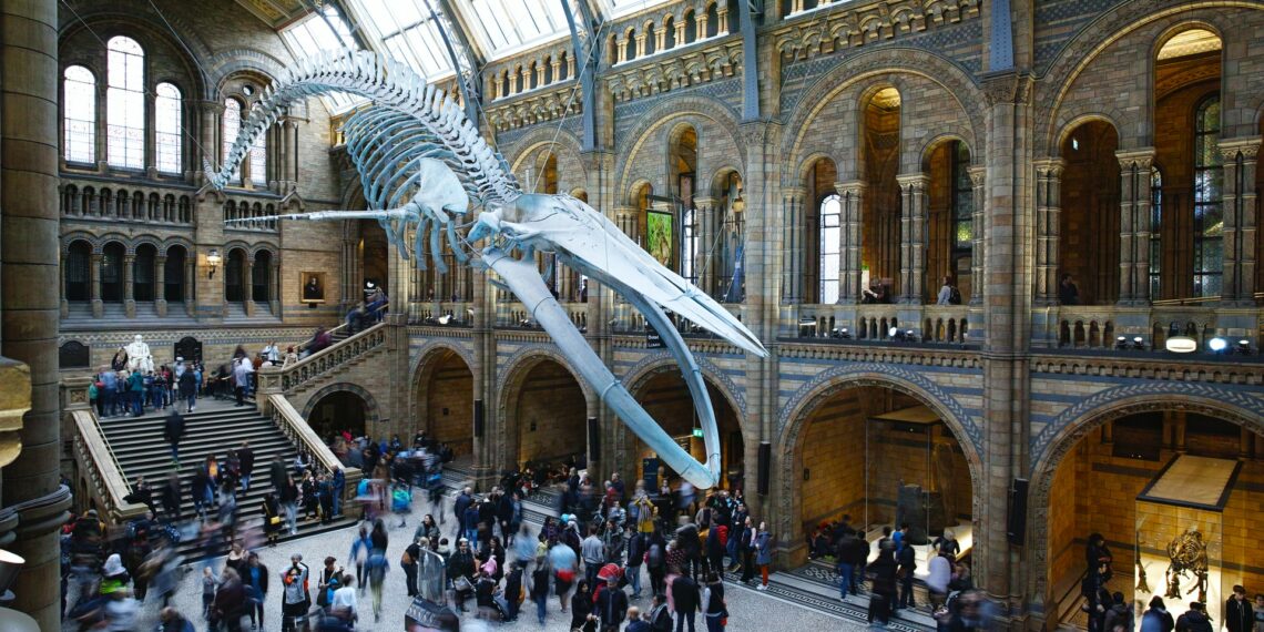 top 10 natural history museums in the us to visit in 2023