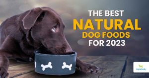 the best natural kibble for dogs in 2023
