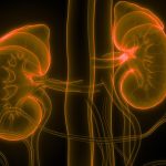 experts call for early screening for chronic kidney disease medscape