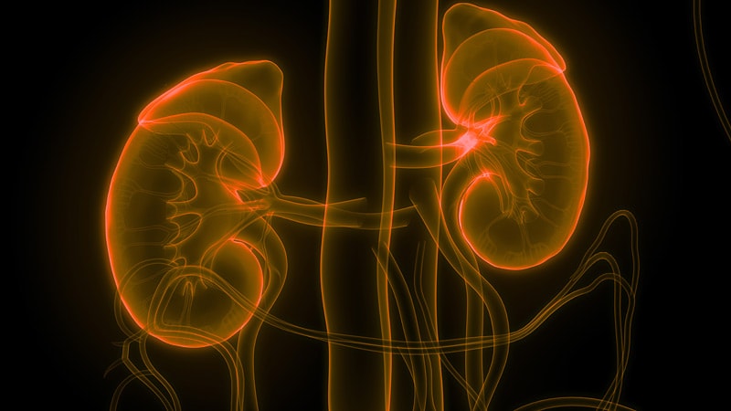 experts call for early screening for chronic kidney disease medscape