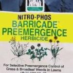 barricade pre emergent herbicide protect your lawn effectively