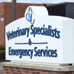 seek immediate emergency vet care in rochester ny