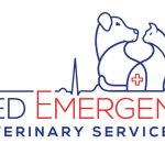 the ultimate guide to allied emergency veterinary services