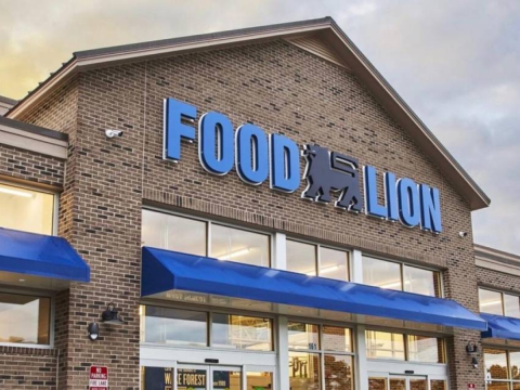 food lion flyer federalsburg md