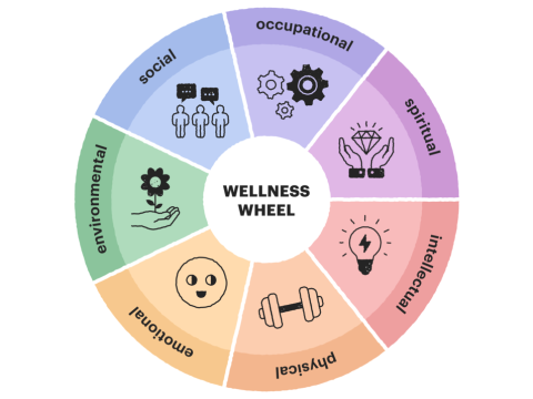 find balance health wellness your guide