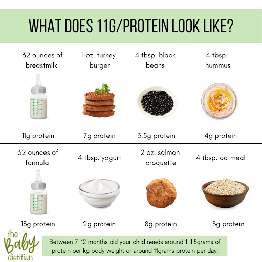 protein needs how many grams does a newborn baby have