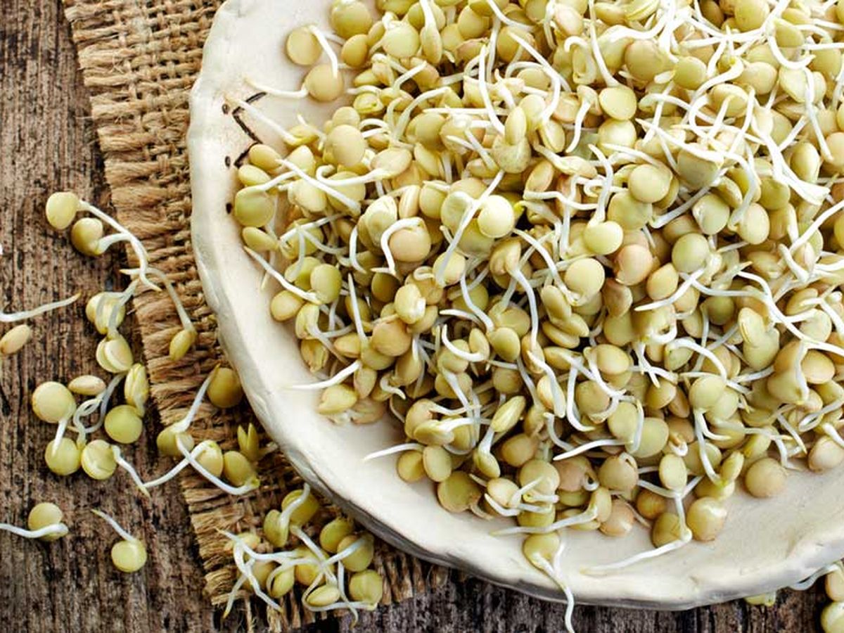 to your health sprouted