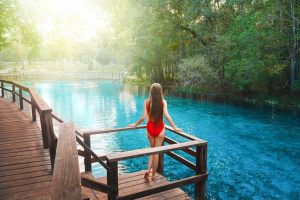 explore the best natural springs near orlando
