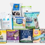 the best natural cat litter for 2023