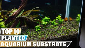 the best natural aquarium substrate for 2023