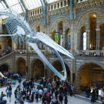 top 10 natural history museums in the us to visit in 2023