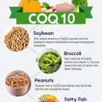 what you need to know about coq10 the best natural source of energy