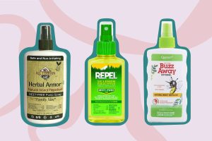 best natural insect repellent options for 2023