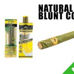 discover the best natural leaf wraps in 2023