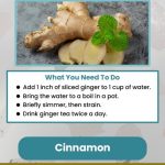 natural remedies for stomach virus tips to help you recover faster