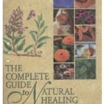 naturopathic practitioner your guide to natural healing