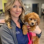 discover the secrets to exceptional pet care dive into the world of charlotte vet