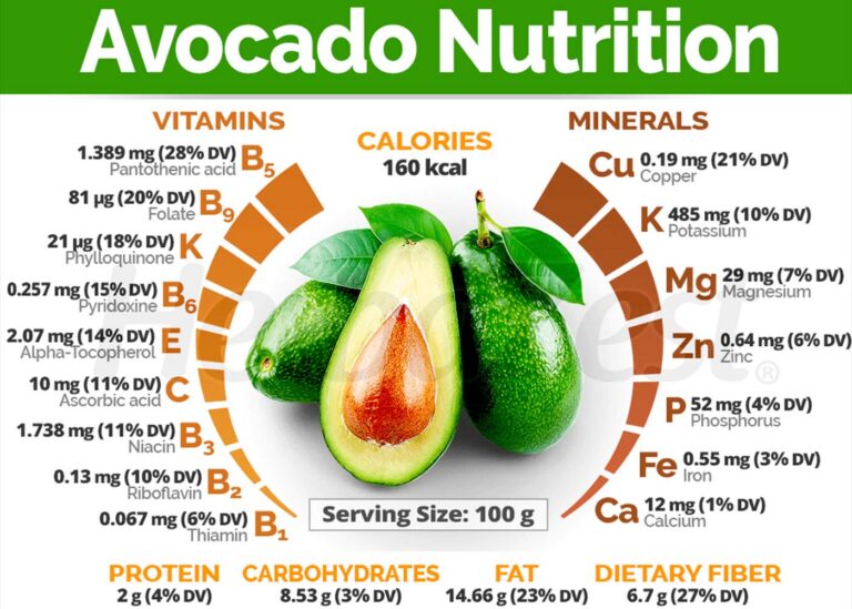 the ultimate guide to small avocado nutrition unlock the power of natures superfood