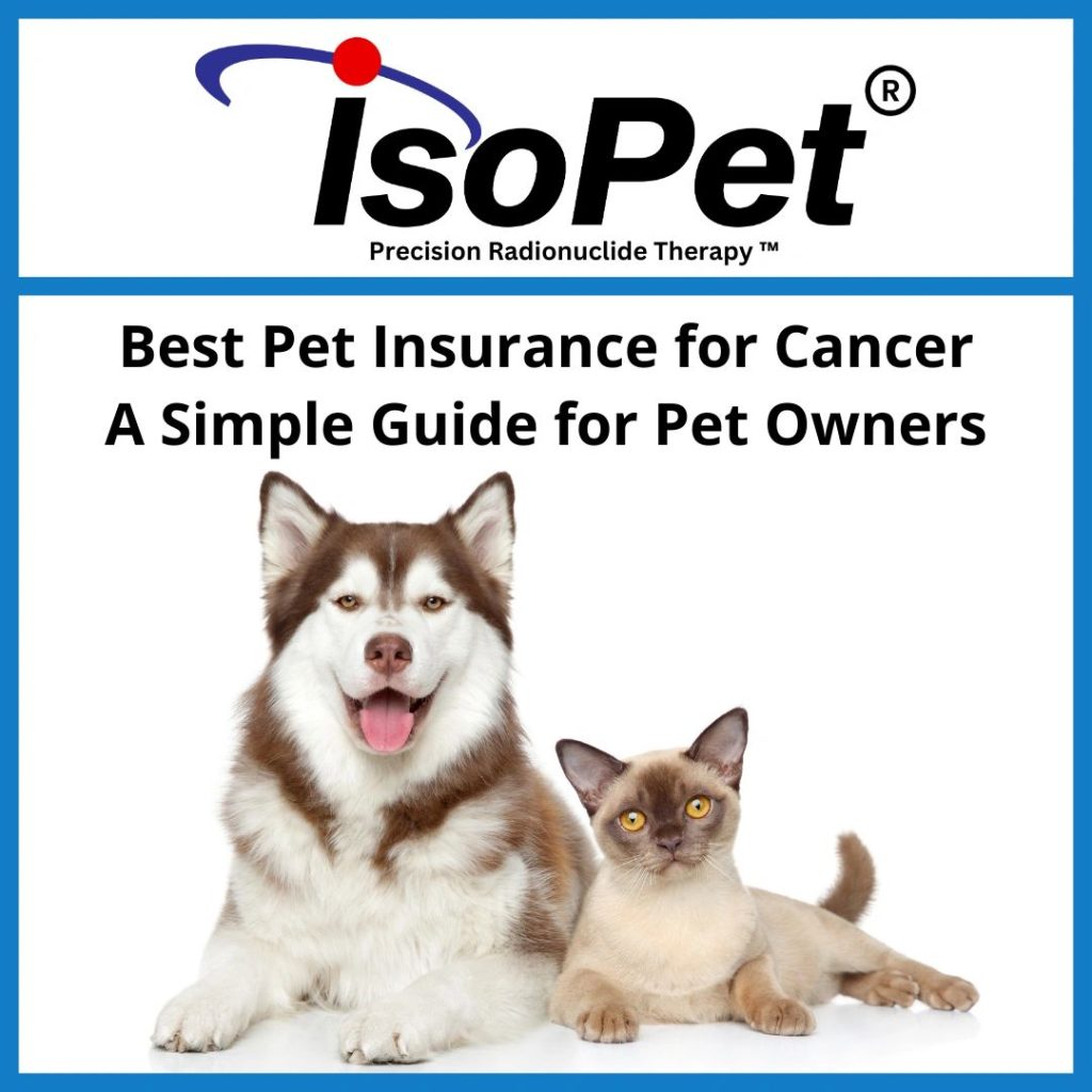 best pet health insurance supplies plus guide